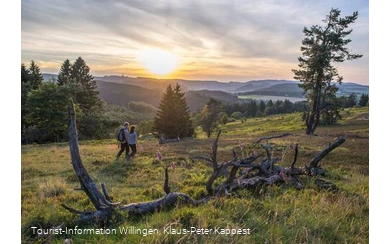 Sonnenuntergang auf der Heide