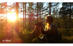 Eine Frau mit ihrem Hund im gegenlicht