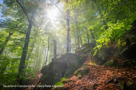 Hollenfelsen im Sonnenlicht