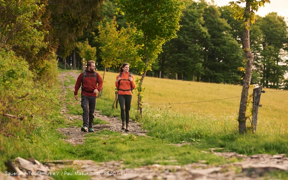 Zwei Wanderer auf einem Wanderweg am Krutenberg