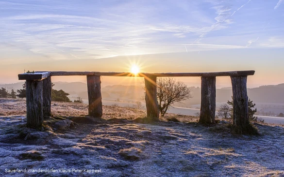 Blick vom Osterkopf in Willingen in eine Frostlandschaft