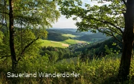 Aussicht am goldenen Zapfen in Siegerland