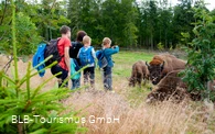 Wisent-Pfad