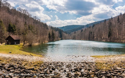 Ein voller Schmalahsee im frühen Frühling, die Bäume sind alle noch ohne Laub