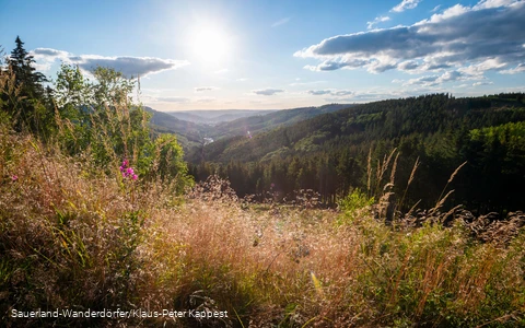 Blick ins Tal mit leichten Sommerwolken vom Ginsterkopf