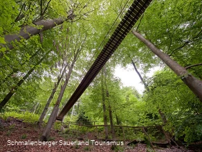 Hängebrücke am Rothaarsteig