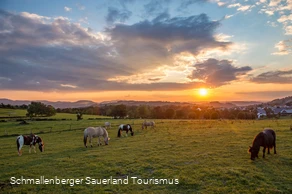 Sonnen-Untergangsort: Sauerland Höhenflug bei Holthausen