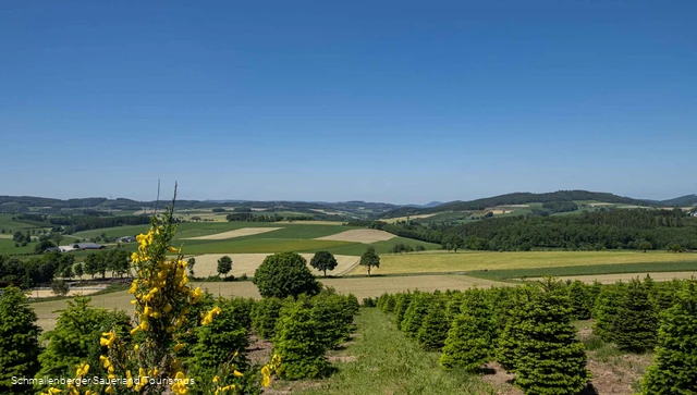 Weite Blicke ins Hawerland