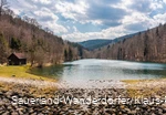 Ein voller Schmalahsee im frühen Frühling, die Bäume sind alle noch ohne Laub