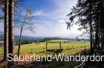 Blick auf den Landschaftsrahmen am Gerkenstein in Winterberg